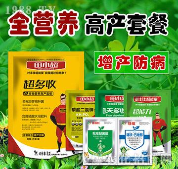 ȫ�I�B(y��ng)�߮a(ch��n)�ײ�-��С��