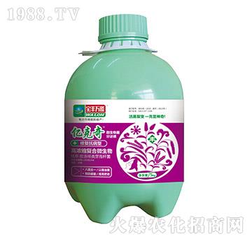 �ޏ�(f��)������-�|����-���S�f¡