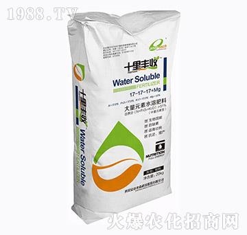 ����Ԫ��ˮ�ܷ���17-17-14+MG-ʮ���S��-���_(d��)