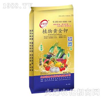 ֲ���S���-���S��-��(r��n)���r(n��ng)�I(y��)