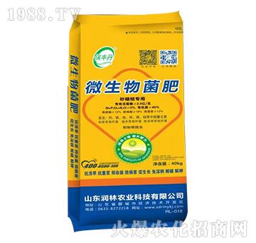 ɰ�ǽی���΢�������-���S��-�����r�I(y��)