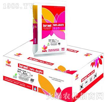 �����������̖-�ߵ���