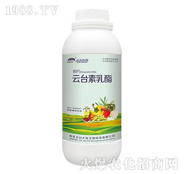 ���_������������Һ-���_��