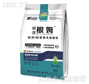 ���ĸ�ķ-���_��