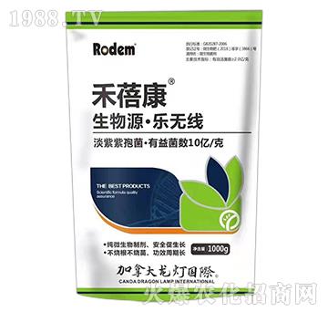 ����Դ�����o��-������-����