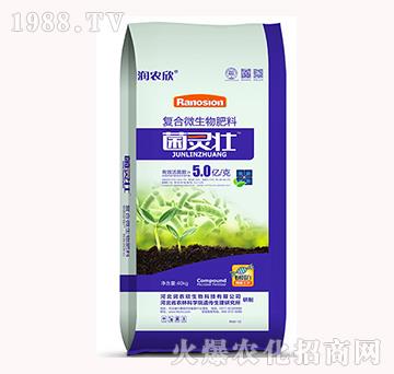 ��(f��)��΢�������-���`��-��(r��n)�r(n��ng)��