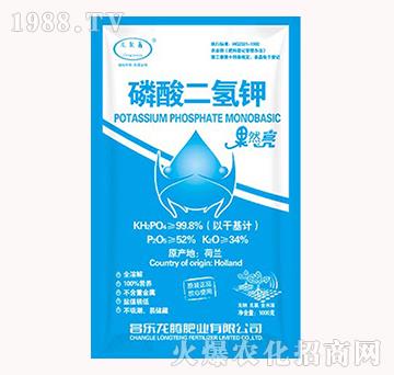 ��������-���v�ʘI(y��)