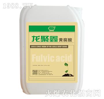 �������S����-���v�ʘI(y��)