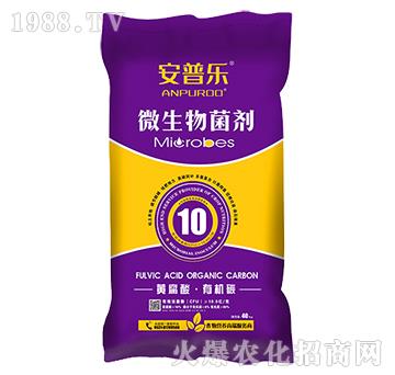 10�|ÿ���S�����ЙC(j��)̼΢�������-���՘�-�f(w��n)�����B(t��i)