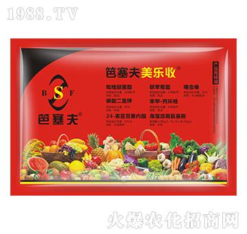 ���a(ch��n)�ײ�-������-������