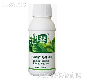 �~��Դ-�{(l��n)���r(n��ng)��