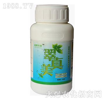 ������-�{���r(n��ng)��