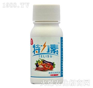 �߲˹Ϲ�����-������-�{(l��n)���r(n��ng)��