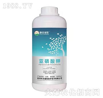 �������0-520-340-��ϲ����-��Ѵ