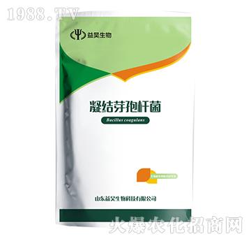 ���Y(ji��)ѿ�ߗU��-�������