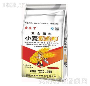 �ͺϷ���20-22-5-С���S���-�S���