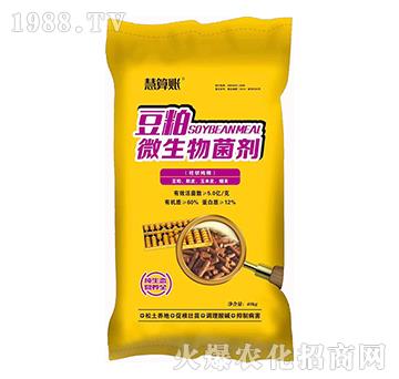 ����΢�������-�����~-�f��ȵ�