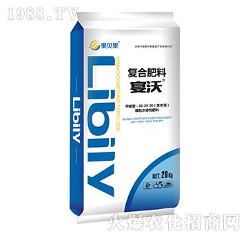 ƽ���͏�(f��)�Ϸ���20-20-20-����-��ؐ��