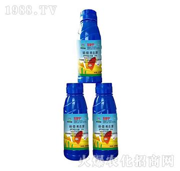 ��������ݬȥ��-�K�ƻ���