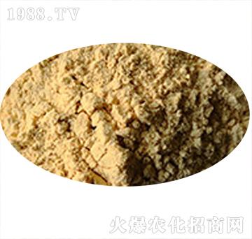 �۹Ȱ���-�ĺ�����