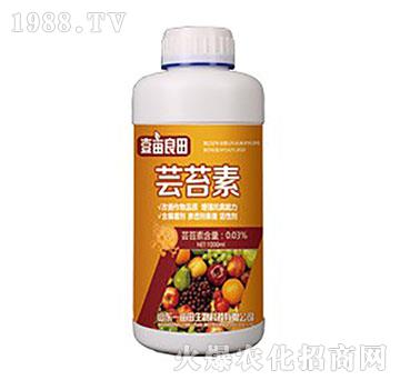 �|̦��-Ҽ������