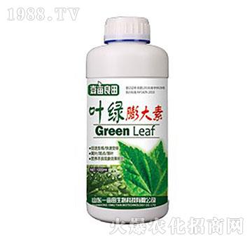 �~�G�����-Ҽ������