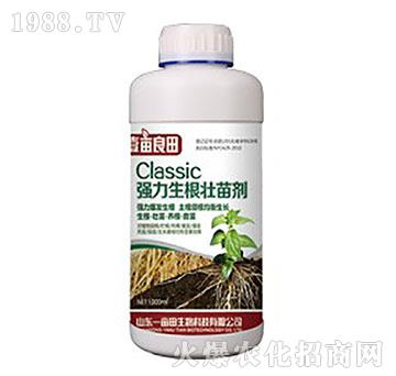 ��(qi��ng)���������焩-Ҽ������