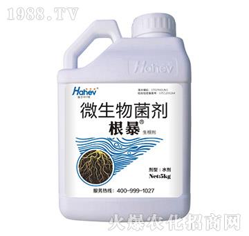 ΢�������-����-������