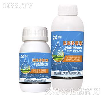 �������-�������