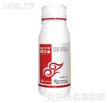 50��ÿ��������-�M����-���˹����r��