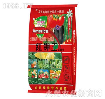 �t�����II��-ɽ������