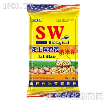 ��������{�{�-ɽ������