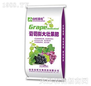 �������ѹ���-ɽ������