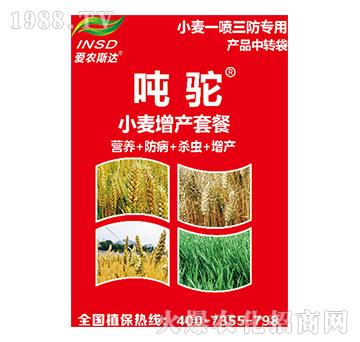 С�����a(ch��n)�ײ�-���-���r(n��ng)˹�_(d��)