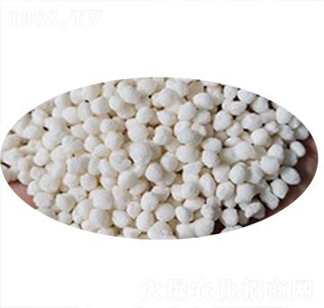 �D����ɒ��A�Ȼ��@�w��-�Rʩ