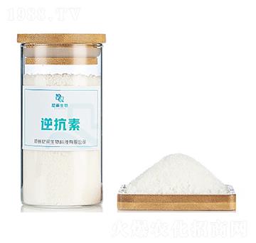 �濹��-�������