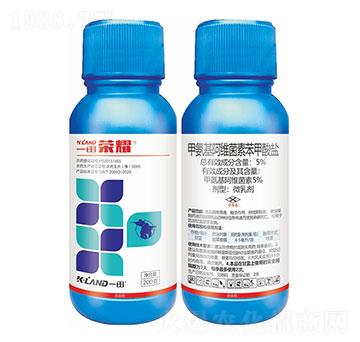 5%�װ������S���ر������}-һ������