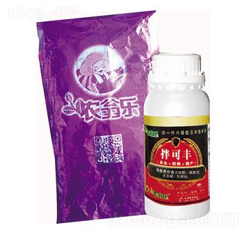 ���׌��÷N��-�r�̘�