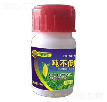 ���׌�(zhu��n)��-������-�r(n��ng)�̘�(l��)