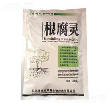 �����`-�p������