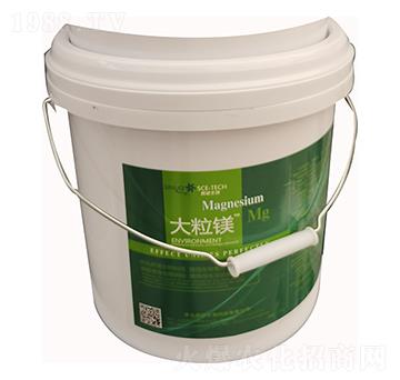 �����V-˹�Z����