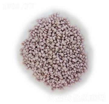 �w���Ȼ��@-¡ʢ-ʩ�׵�