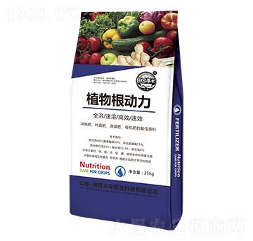 25kgֲ�����(d��ng)��-��@���S-���S�ʘI(y��)