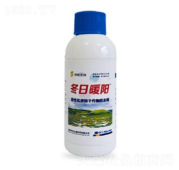 ���Կ����������������-����ů�-�S������