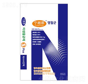 ΢�����-��Խ��-�����r�I(y��)