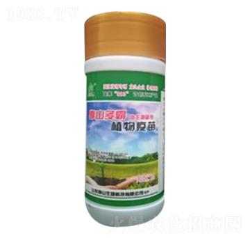 ֲ������-��ɽ����