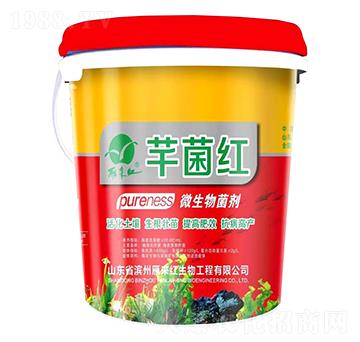 ΢�������-ܷ���t-����t