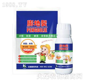 �����-����ֲ��