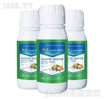 ����ѿ�ߗU�����ɹ�نΰ���-��Խ-����ֲ��