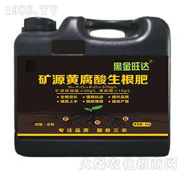 �VԴ�S����������-�ڽ����_-��(f��)������